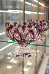 FRUCTIERA LOTUS - 155mm - Violet