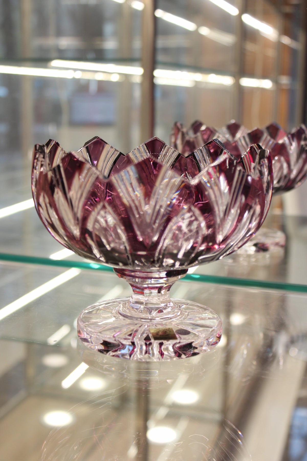 FRUCTIERA LOTUS - 155mm - Violet